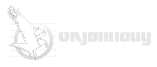 Skjønhaug Elektronikk